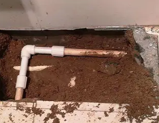 定兴测漏水哪家好