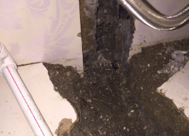 定兴卫生间测漏水哪家好