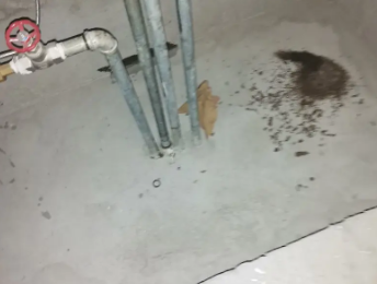 定兴卫生间测漏水价格明细